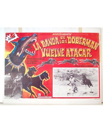 The Daring Dobermans