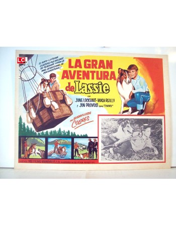 Lassie's Great Adventure