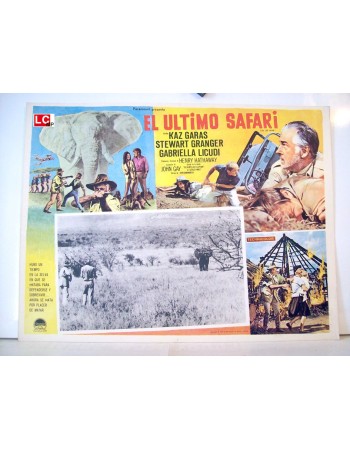 THE LAST SAFARI