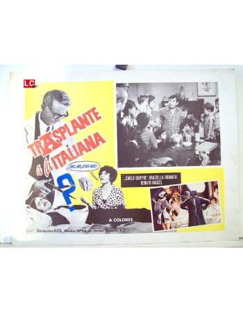 IL TRAPIANTO