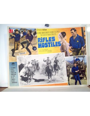Hostile Guns