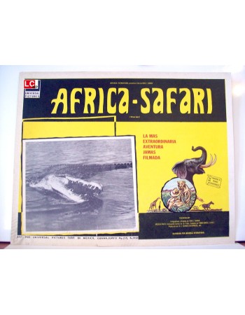 RIVERS OF FIRE AND ICE / AFRICAN SAFARI