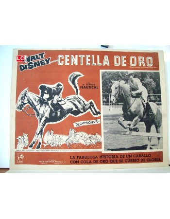 THE HORSE WITH THE FLYING TAIL