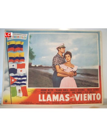LLAMAS CONTRA EL VIENTO