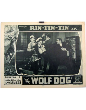 THE WOLF DOG