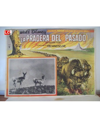 THE VANISHING PRAIRE