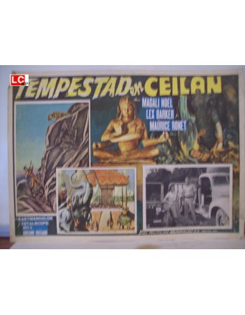 DAS TODESAUGE VON CEYLON