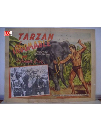 THE NEW ADVENTURES OF TARZAN