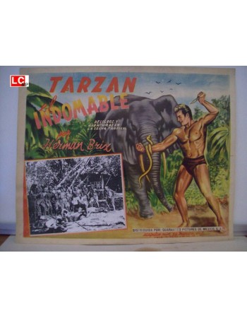 THE NEW ADVENTURES OF TARZAN
