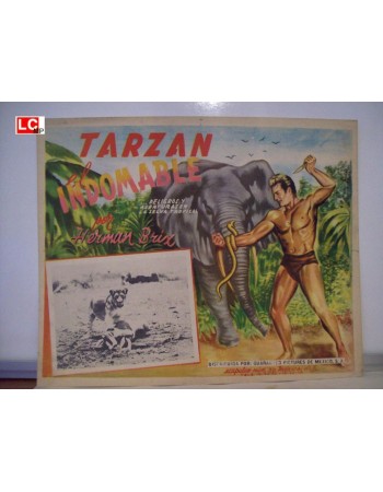 THE NEW ADVENTURES OF TARZAN