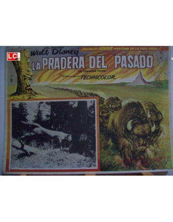 THE VANISHING PRAIRE