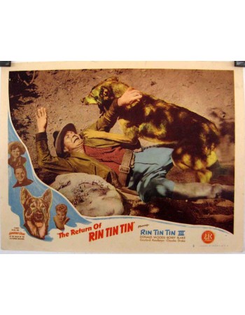 The Return of Rin Tin Tin