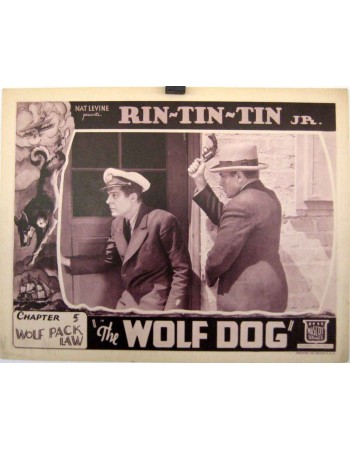 THE WOLF DOG