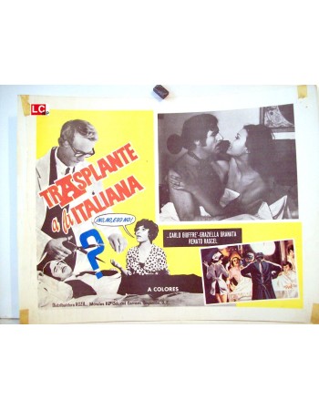 IL TRAPIANTO