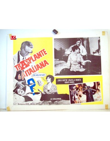 IL TRAPIANTO