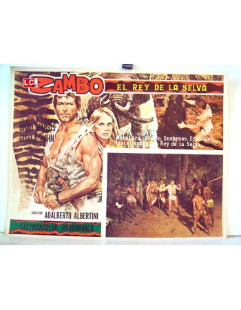 ZAMBO, IL DOMINATORE DELLA FORESTA
