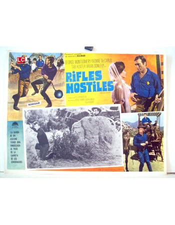 Hostile Guns