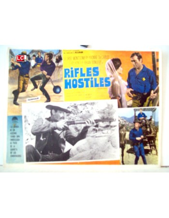 Hostile Guns