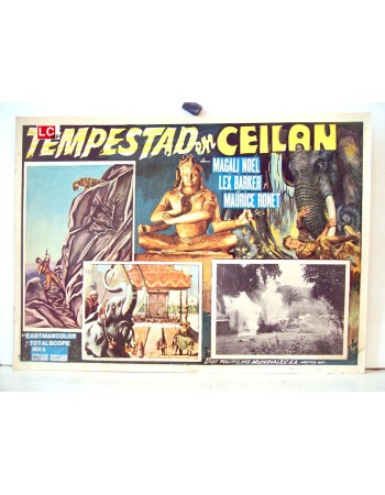 DAS TODESAUGE VON CEYLON
