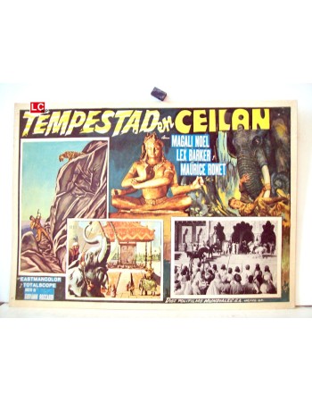 DAS TODESAUGE VON CEYLON