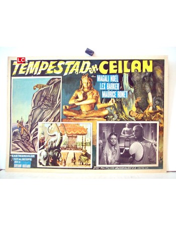 DAS TODESAUGE VON CEYLON