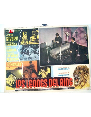 LOS LEONES DEL RING