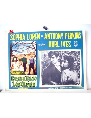 DESIRE UNDER THE ELMS