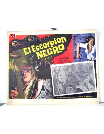 The Black Scorpion
