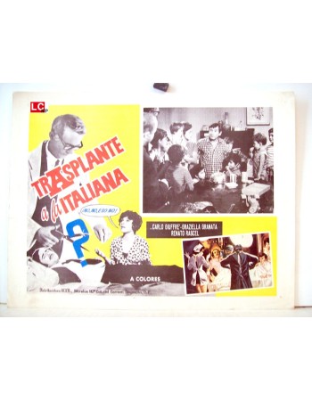 IL TRAPIANTO