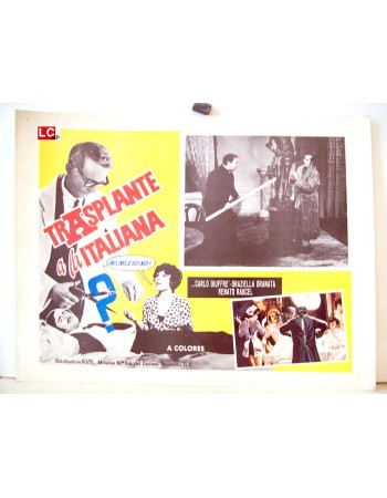 IL TRAPIANTO