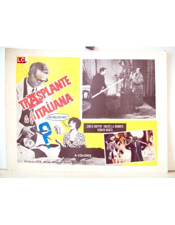 IL TRAPIANTO