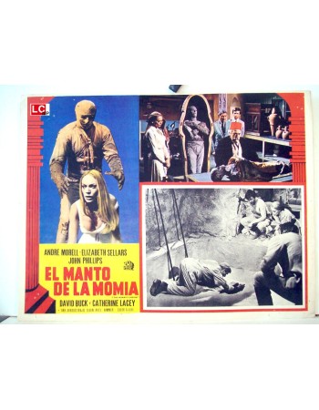 THE MUMMIS SHROUD