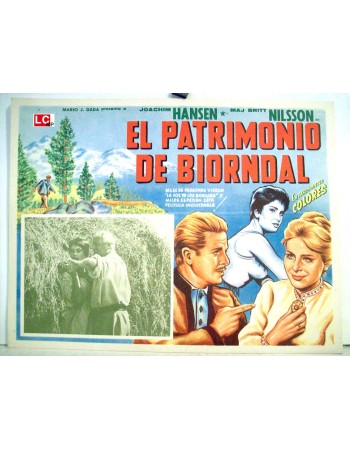 Das Erbe von Björndal