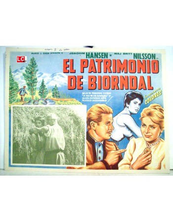 Das Erbe von Björndal