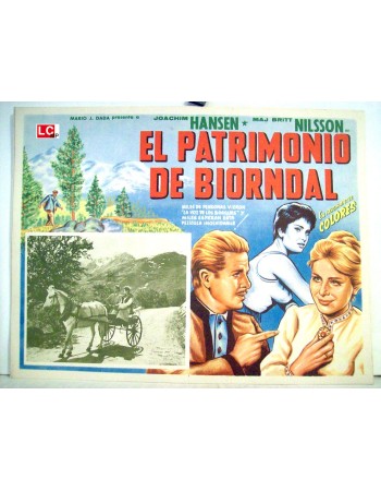 Das Erbe von Björndal