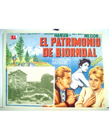 Das Erbe von Björndal