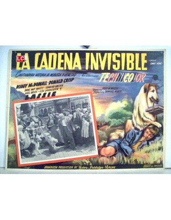 LASSIE COMES HOME