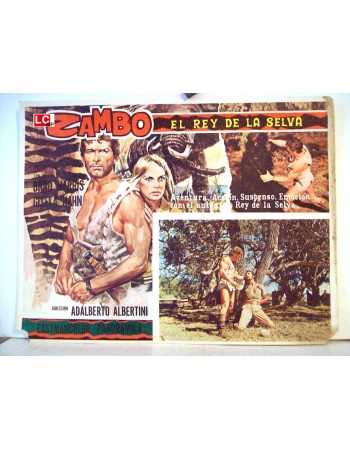 ZAMBO, IL DOMINATORE DELLA FORESTA