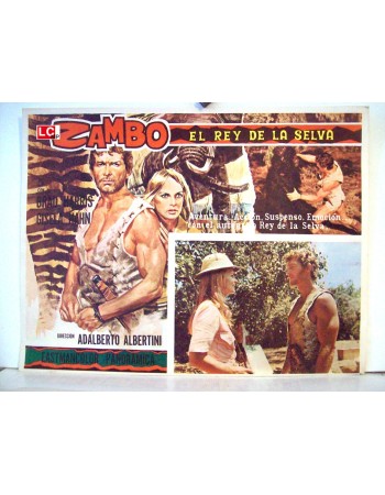 ZAMBO, IL DOMINATORE DELLA FORESTA
