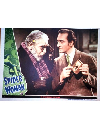 SPIDER WOMAN
