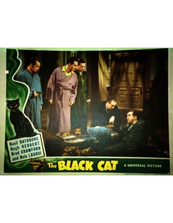 THE BLACK CAT