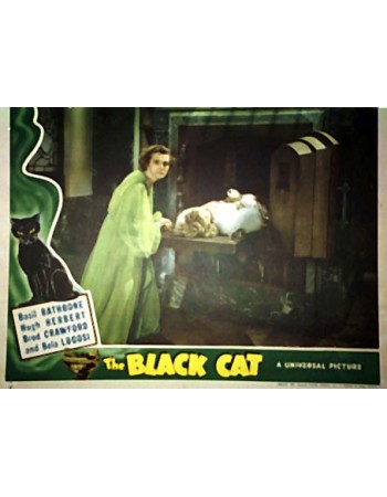 THE BLACK CAT