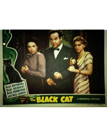 THE BLACK CAT