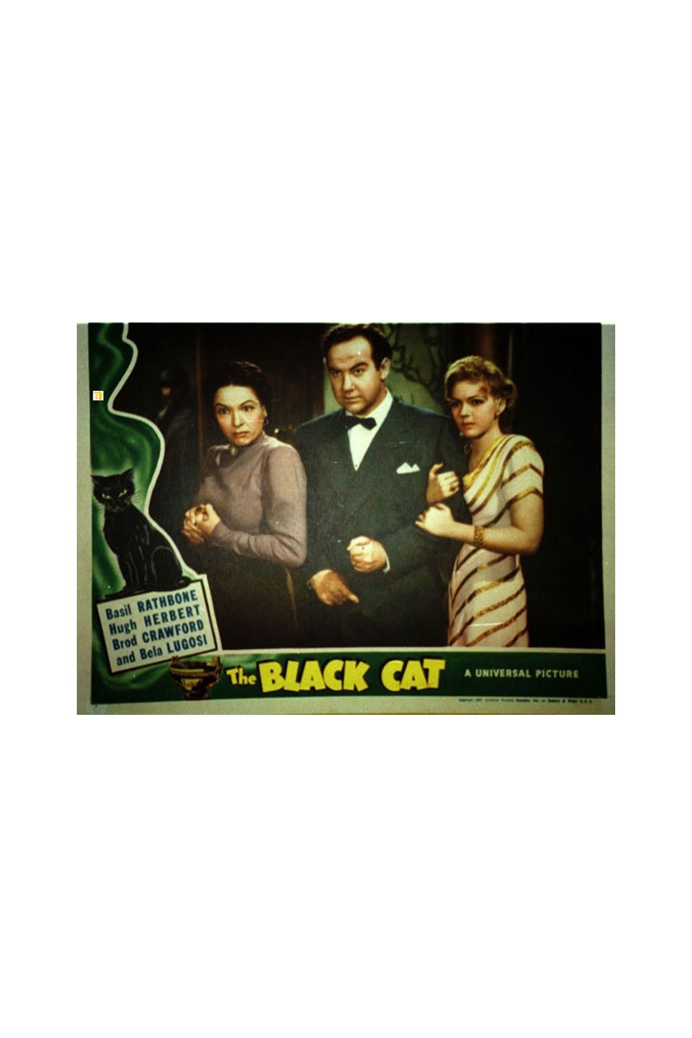 THE BLACK CAT