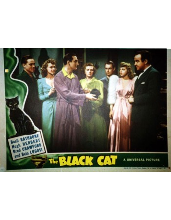 THE BLACK CAT