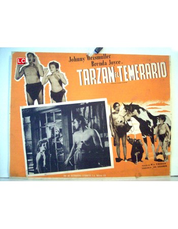 TARZANS DESERT MISTERY