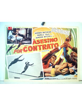 Un killer per sua maestà