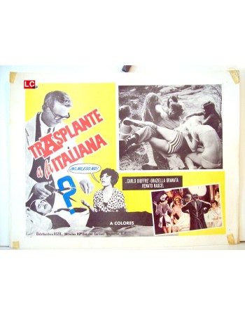 IL TRAPIANTO