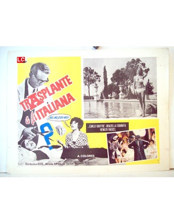 IL TRAPIANTO