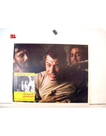 MIDNIGHT EXPRESS